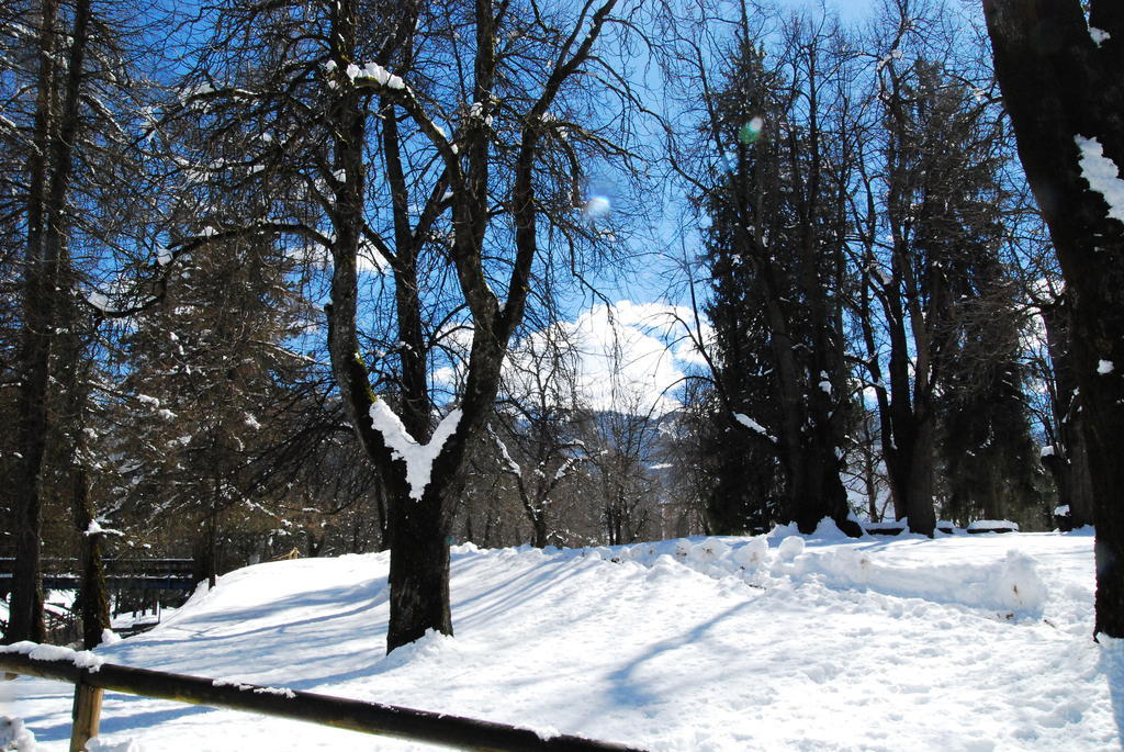 San Valier